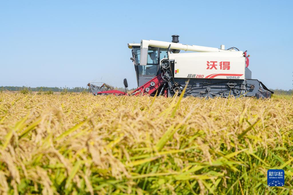 新宝6测速登录